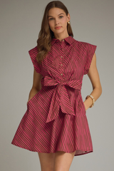 Nellie stripe mini dress in fuschia