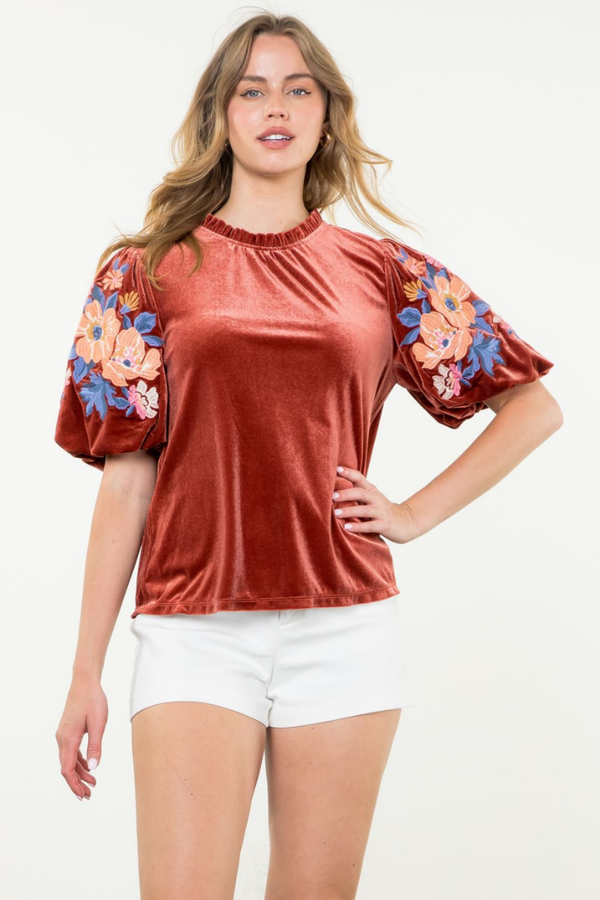 Savannah Velvet Embroidered Top