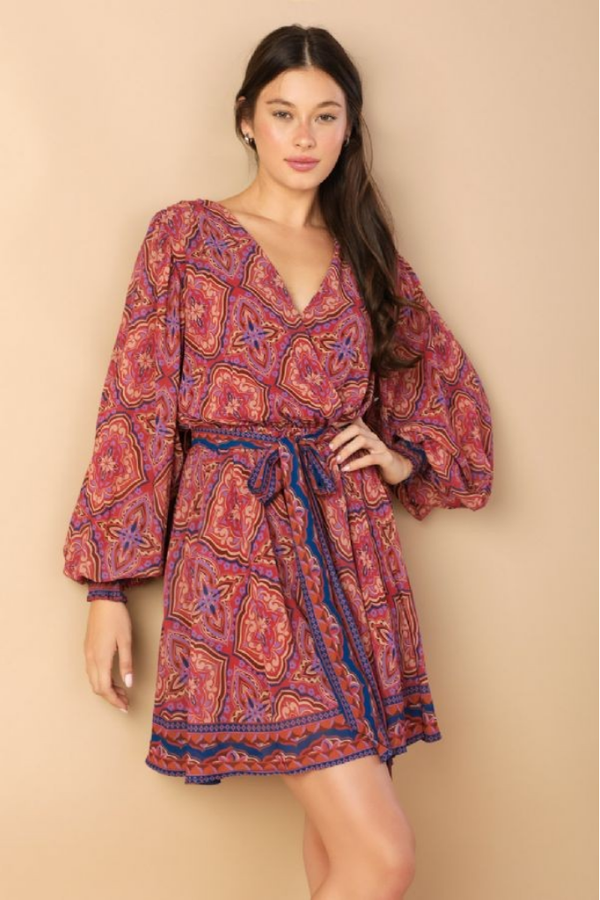 Alice Long Sleeve Printed Mini Dress