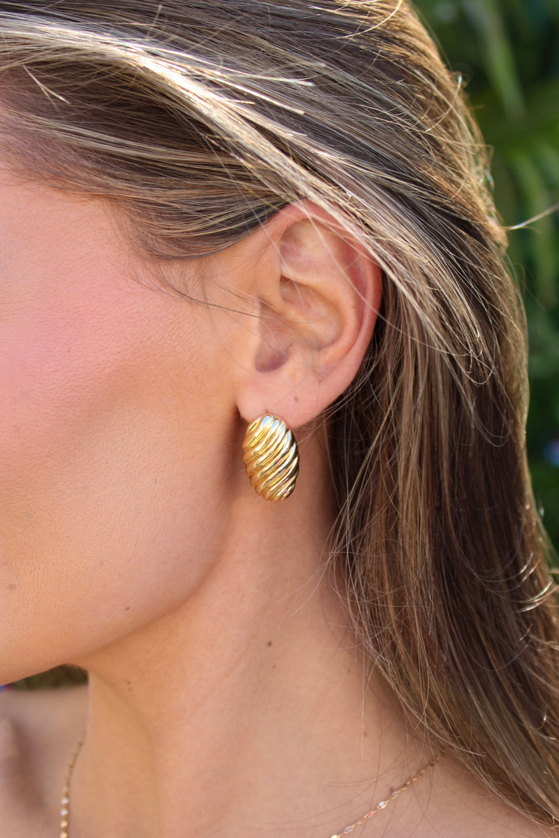 Sunlit Shell Stud Earring