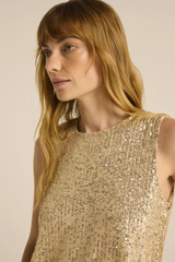 Sloane Sequin Top by Z Supply in Champagne