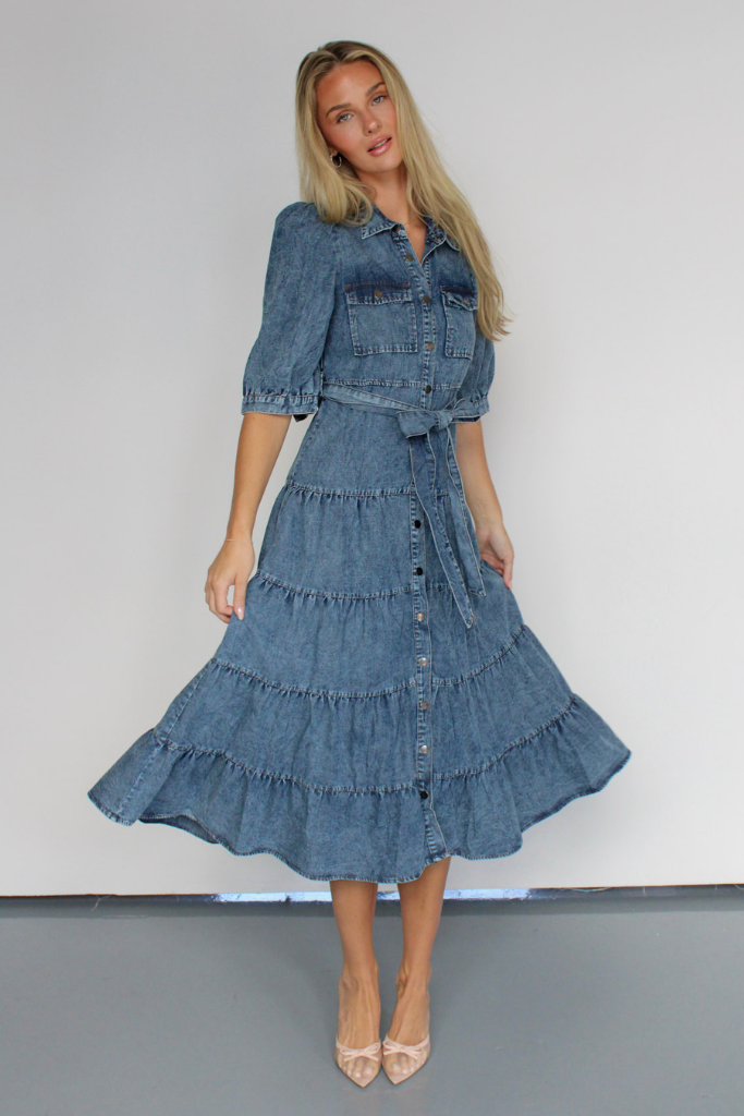 Apple Orchard Denim Midi Dress