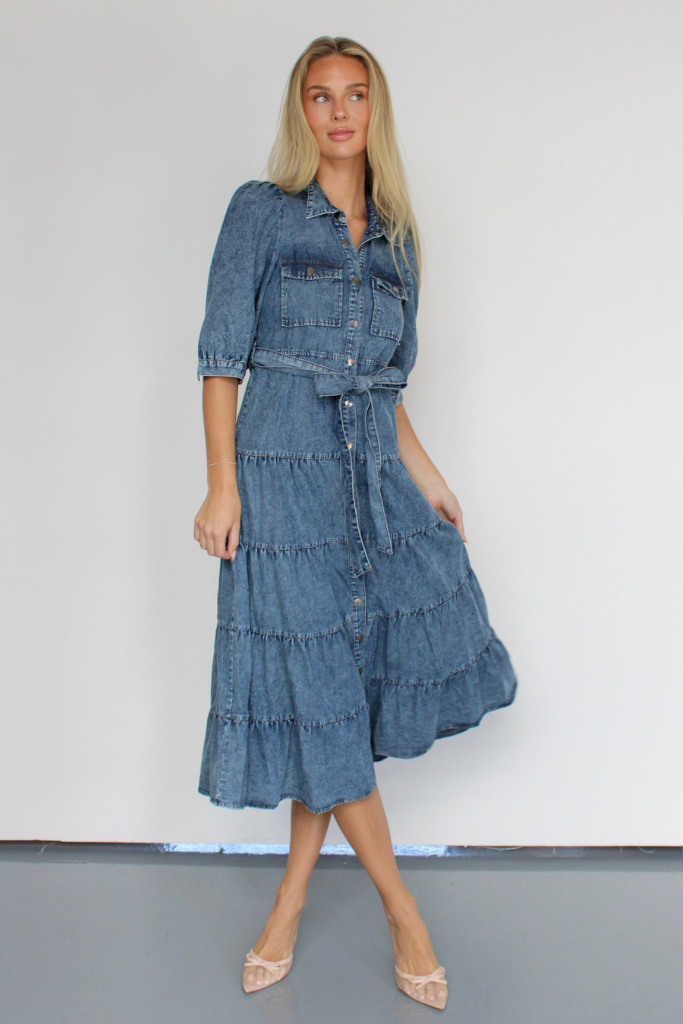 Apple Orchard Denim Midi Dress