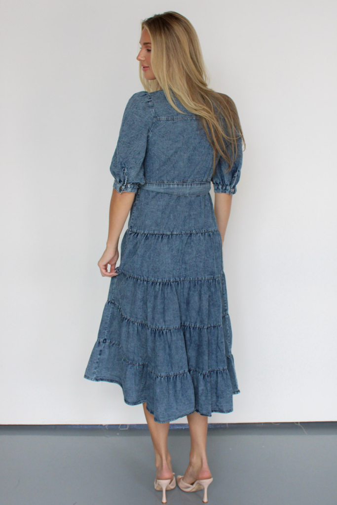 Apple Orchard Denim Midi Dress