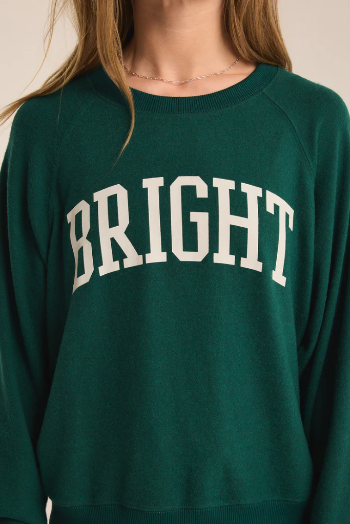 Bright Cozy Knit Top by Z Supply