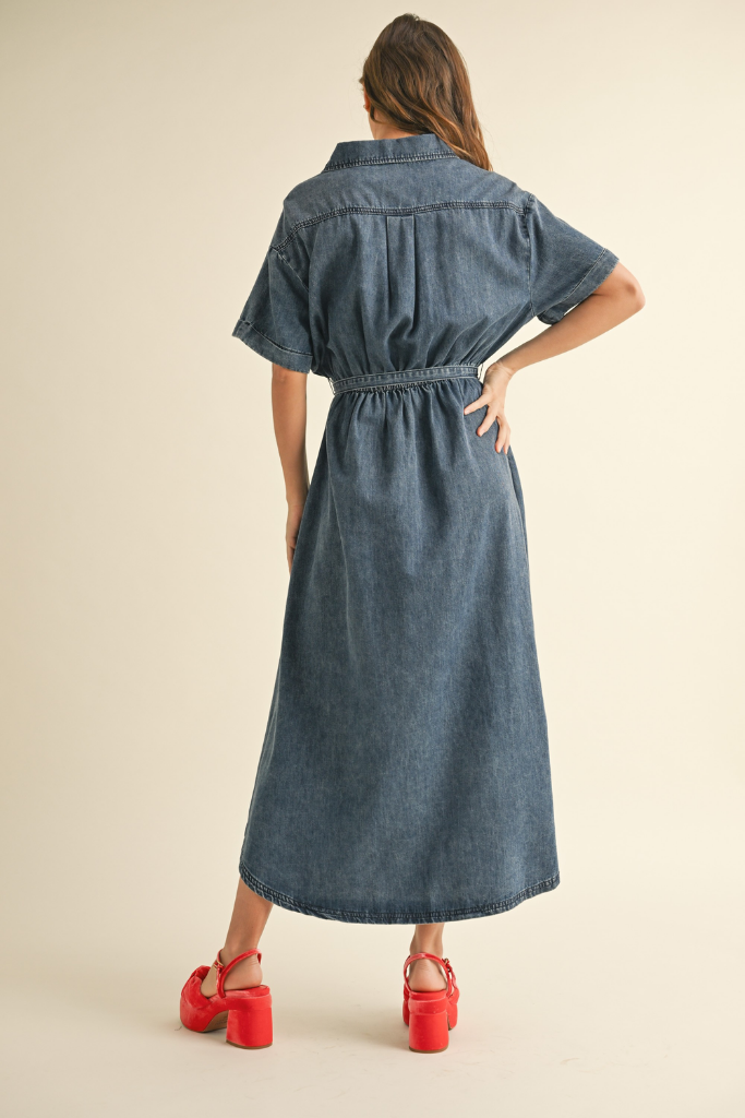 Tobie Denim Tie Waist Maxi Dress