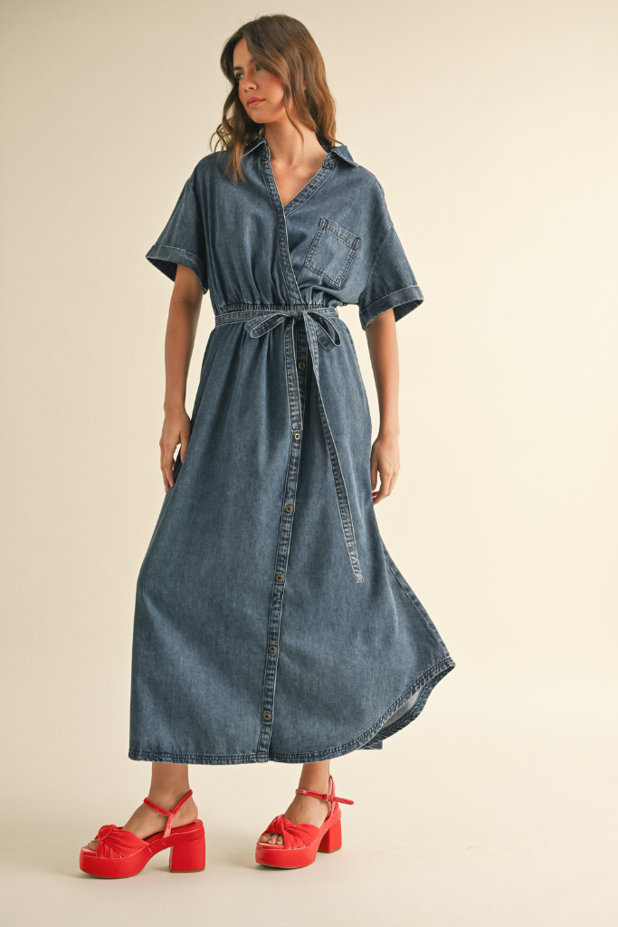 Tobie Denim Tie Waist Maxi Dress