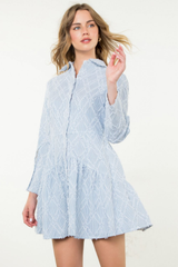 Anna Fringe Detail Long Sleeve Mini Dress