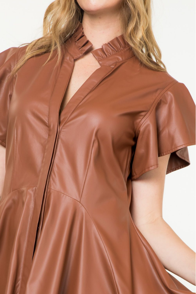 Gianna Vegan Leather Dress