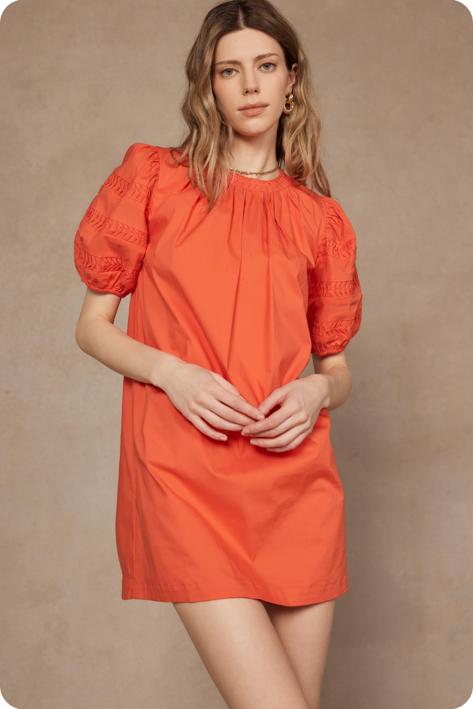 Darcy Puff Sleeve Mini Dress