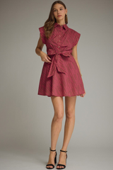 Nellie stripe mini dress in fuschia