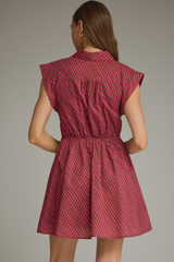 Nellie stripe mini dress in fuschia