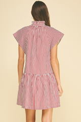 Aria mini stripe dress in red