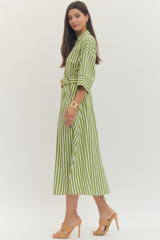 Annie stripe dress in green