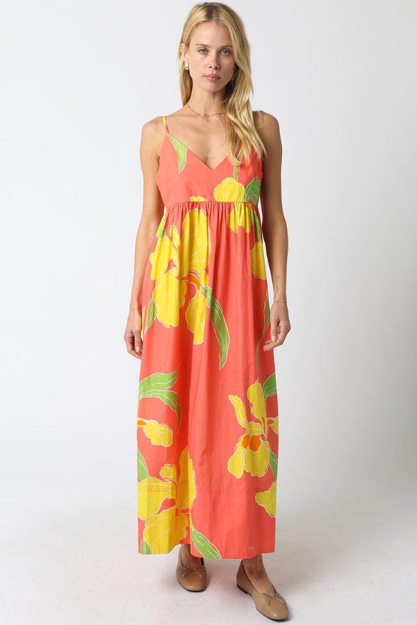 joelle maxi dress Joelle Maxi Dress