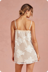 Taylor dress in cream